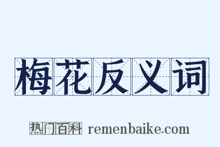 梅花反义词是什么意思的图片